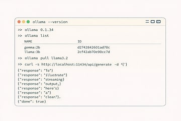 Terminal output showing Ollama version, model pull, and curl verification on macOS