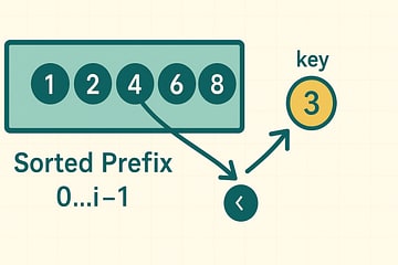 Box labeled 'Sorted Prefix 0..i−1' containing aligned circles in ascending order. To the right, a highlighted key element in orange approaches with a curved arrow indicating insertion. Comparison arrows show the key being compared with elements in the sorted prefix. Solarized teal frame on cream background.