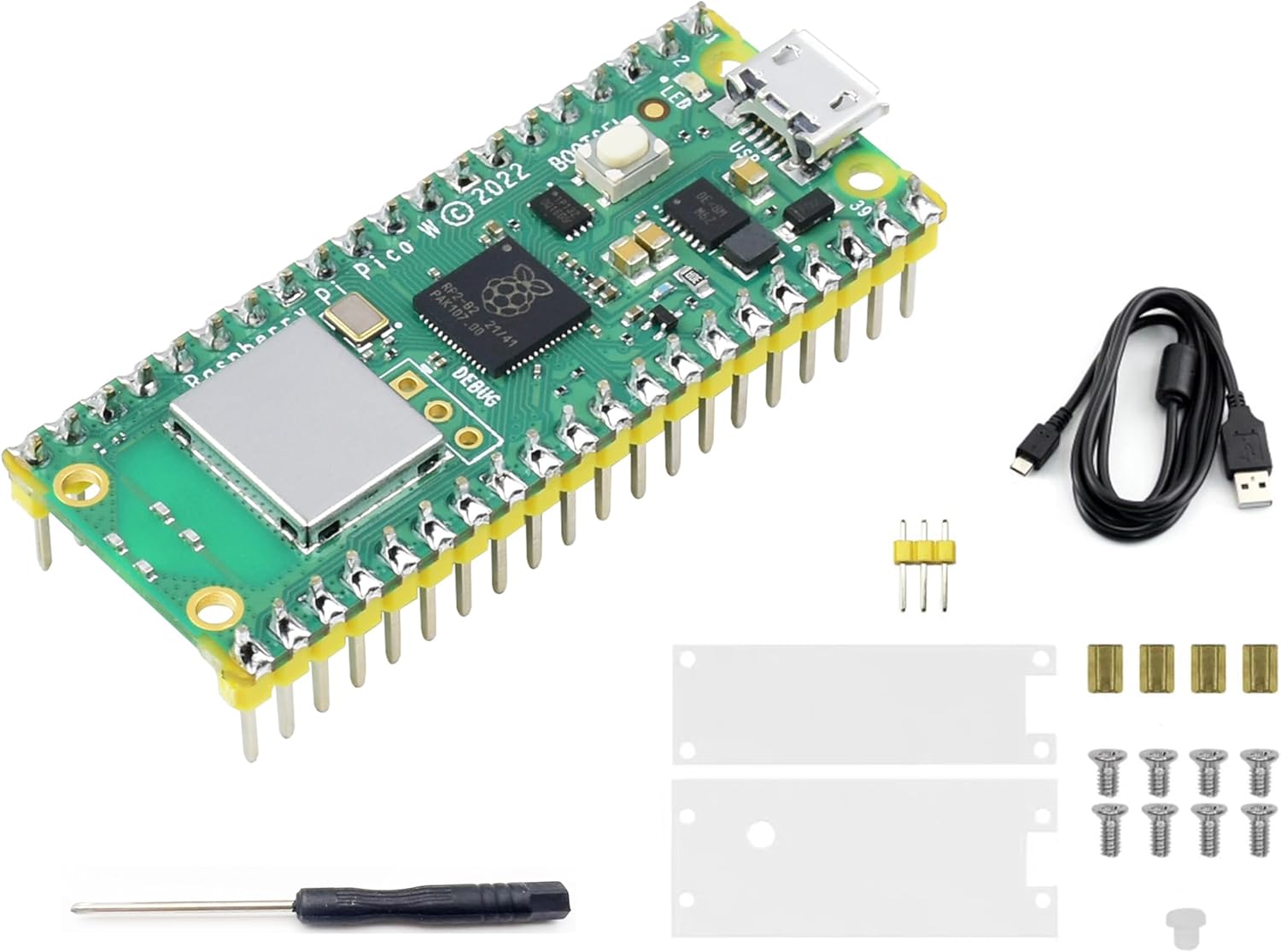 Raspberry Pi Pico W product image