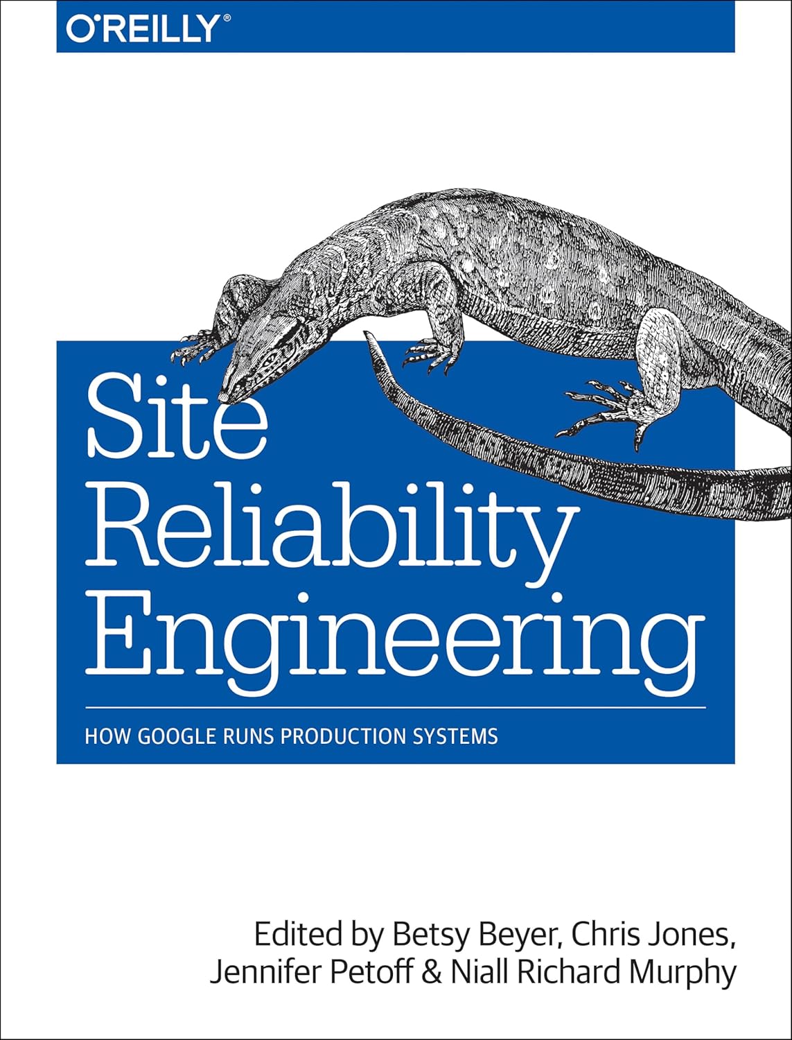 Site Reliability Engineering: How Google Runs Production product image