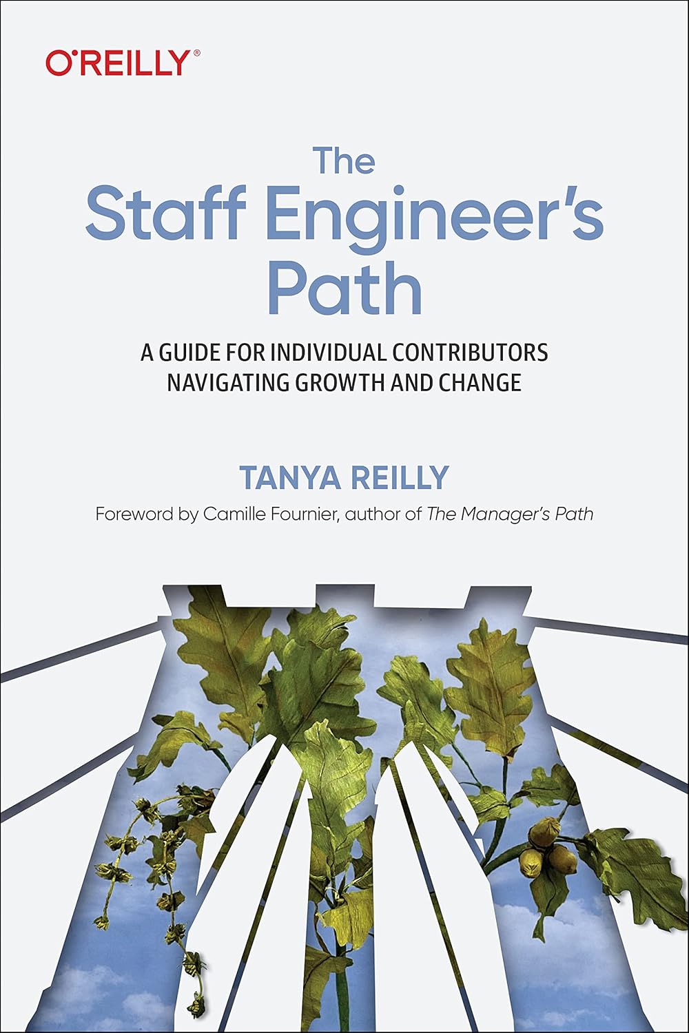 The Staff Engineer's Path: A Guide for Individual Contributors Navigating Growth and Change product image